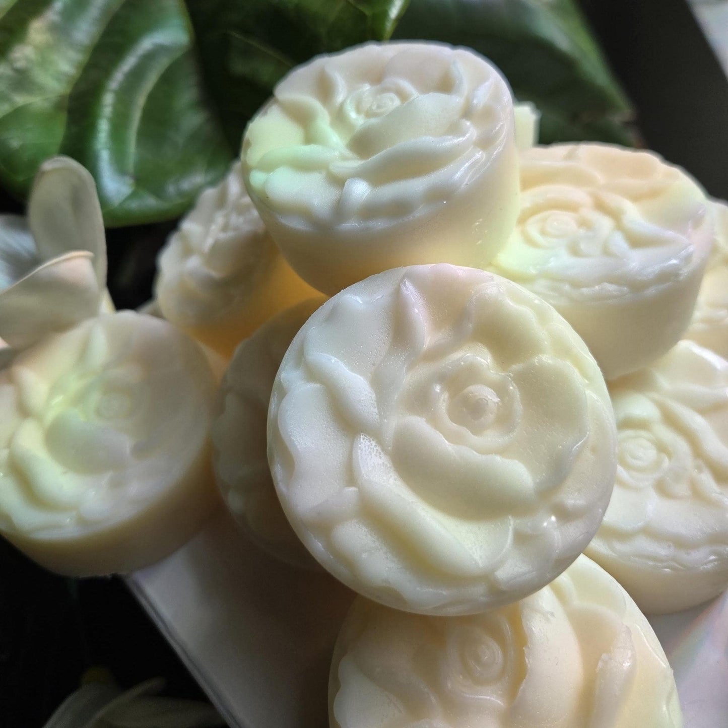 Monoi Lotion Bar