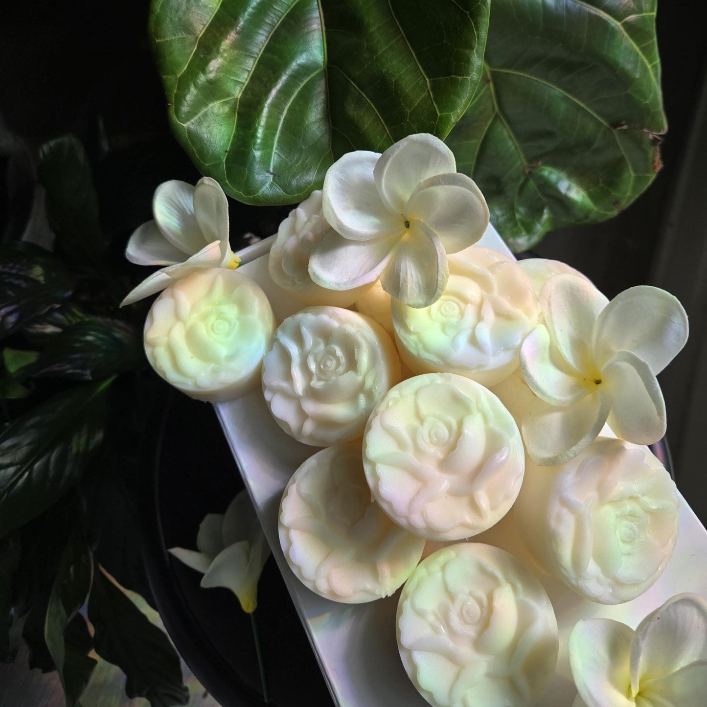 Monoi Lotion Bar