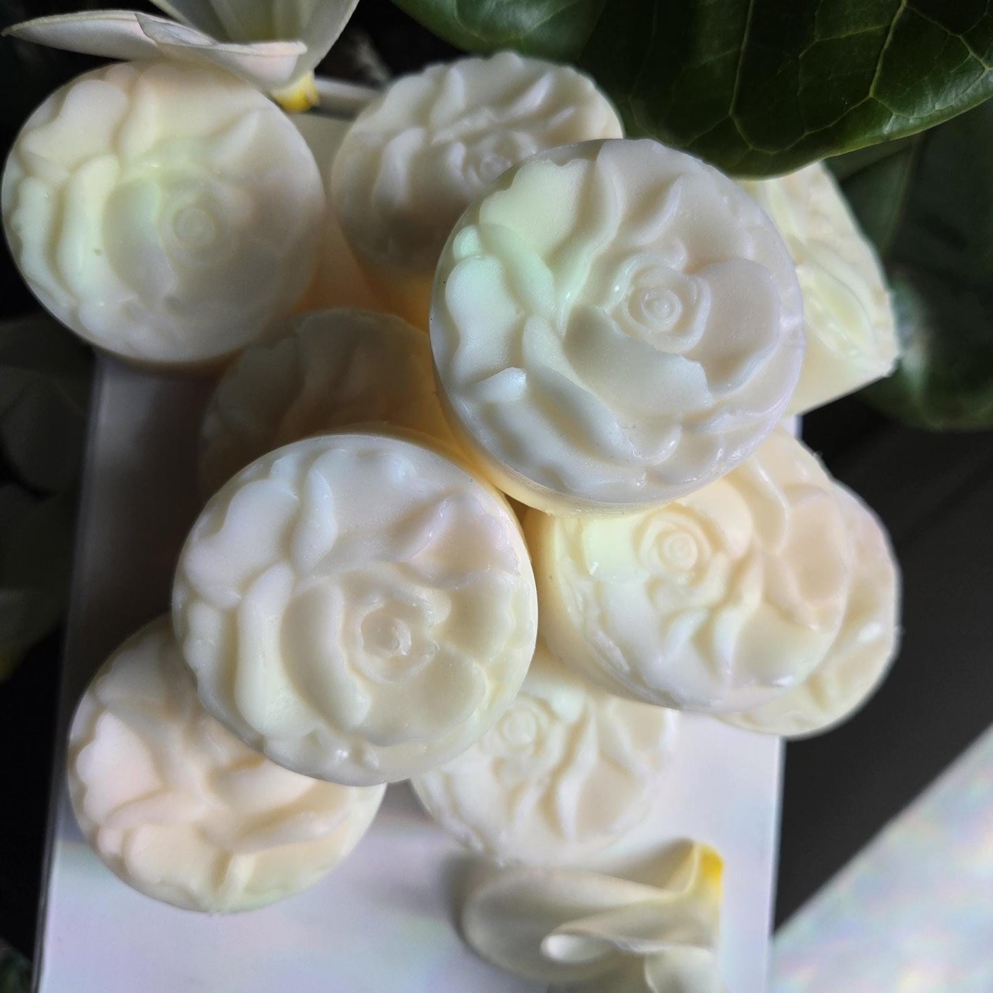 Monoi Lotion Bar